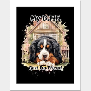 Dog - B.F.F. Bernese Mountain Posters and Art